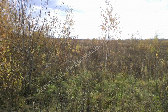 Новгородский район, д. Ермолино, 792