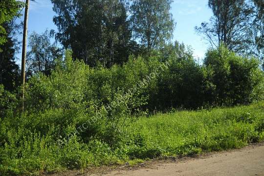 Парфинский район, д. Лажины, Советская, 2